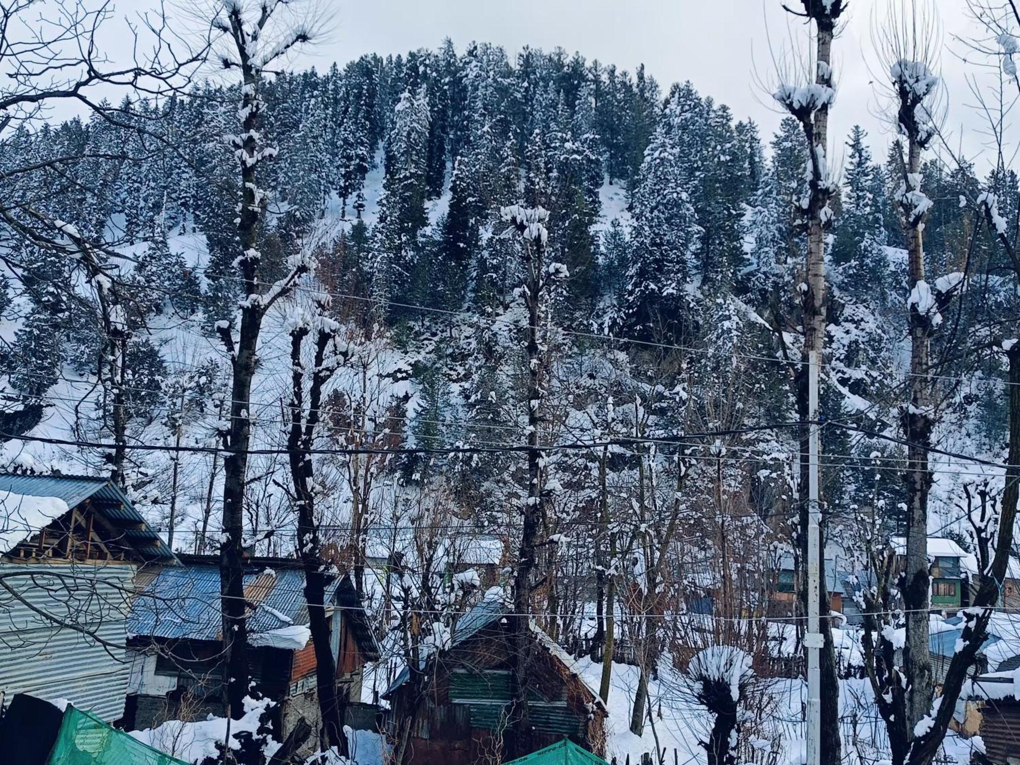 Mir Guest House Pahalgām Eksteriør bilde